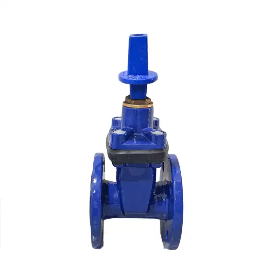 Valvula Gaveta Flangeada GTW Com Cabecote PN10/16 DN150